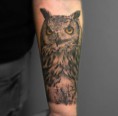 /album/galeria-tattoo/owl-tattoo-jpg/